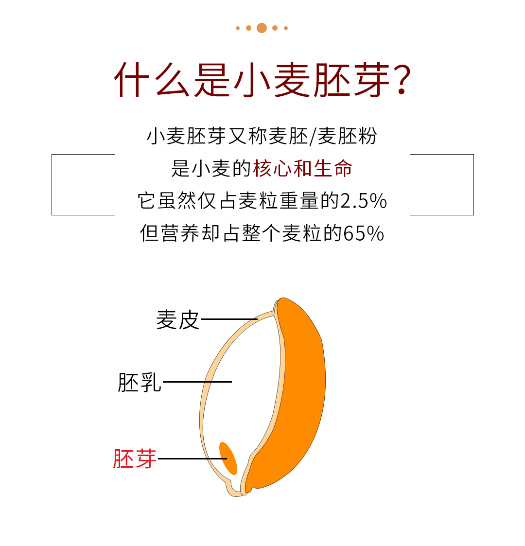 富硒小麦胚芽425g*2瓶 麦片/麦皮 高铁高锌富含维生素e
