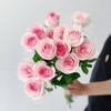 【周四秒杀】桃红雪山玫瑰15枝49.8元 商品缩略图2