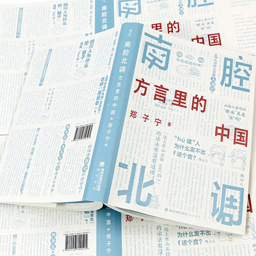 南腔北调 方言里的中国 郑子宁 著 东言西语中国话语言科普 方言中国话文化史书籍 社会科学书籍 商品图1