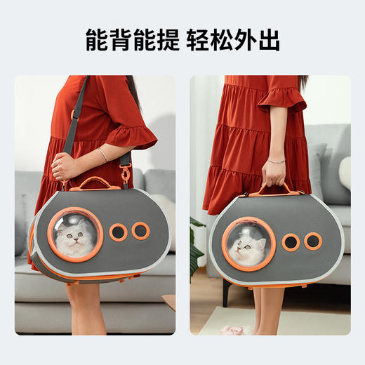 抖音爆款 猫包斜跨猫包宠物包太空宠物包大容量批发便携猫包单肩猫包 商品图2