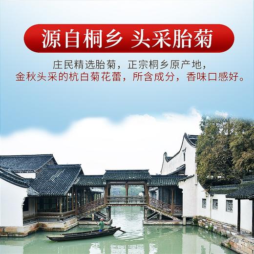 庄民 胎菊 精选大朵含苞 杭白菊花茶 可做菊花决明子茶 男女养生茶叶 50g 商品图6