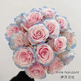 厄瓜多尔染色pink-horizont伊莎贝拉10支