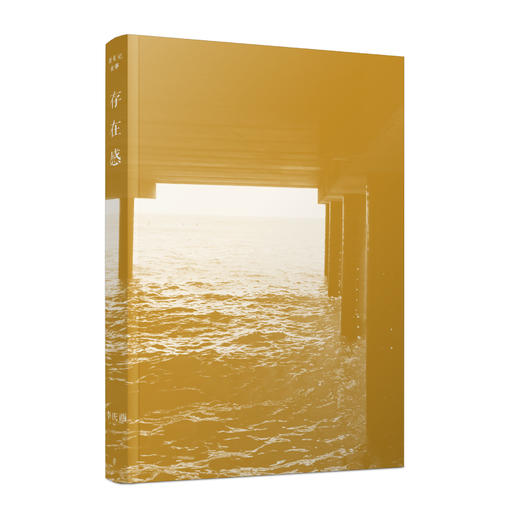 存在感（资深出版人李庆西的笔记体散文） 商品图2