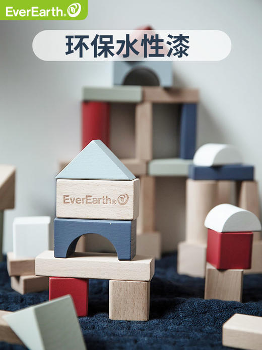 德国EverEarth 百变拼搭积木50粒单品 儿童宝宝早教益智木质拼搭积木玩具一岁宝积木 商品图2