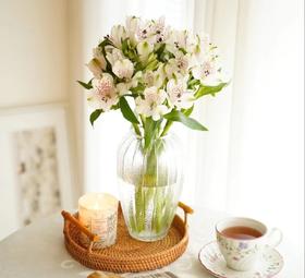 混色水仙百合秒杀