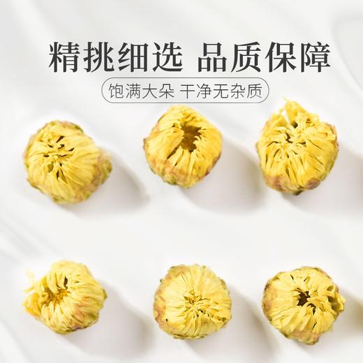 庄民 胎菊 精选大朵含苞 杭白菊花茶 可做菊花决明子茶 男女养生茶叶 50g 商品图4