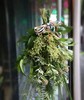 【祁福安康】精致艾草花束 商品缩略图1