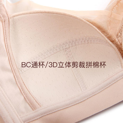 【秒杀价59.9元】【B/C杯单件】秀黛蕾丝聚拢调整型防下垂美背舒适透气轻薄文胸E5115333T【粉丝专享】【如遇缺货自动退款，介意勿拍】 商品图2