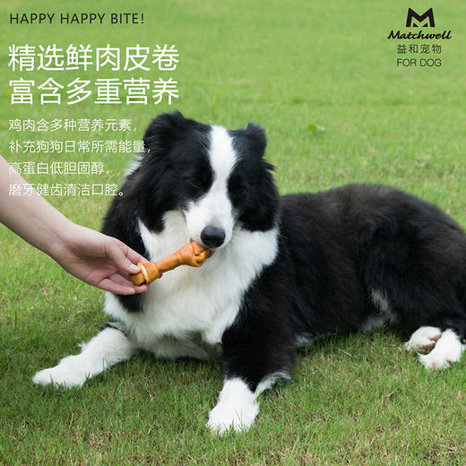 益和鸡肉蘸酱结骨棒狗零食耐咬幼犬磨牙棒除口臭宠物用品中大型犬 商品图1