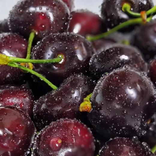 来自北纬34度的黑宝石 | 四川汉源黑珍珠甜樱桃2斤 [福利品] 商品图1
