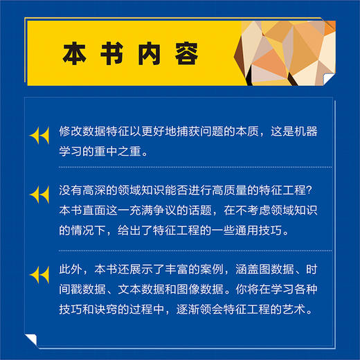 *征工程的艺术 通用技巧与实用案例 机器学习人工智能强化学习 python编程从入门到*通 Linux图形图像数据处理 商品图3