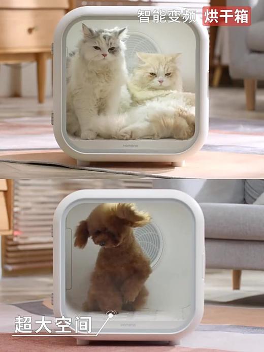霍曼宠物烘干箱 全自动猫咪智能出风烘干机39度舱 商品图4