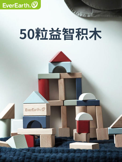 德国EverEarth 百变拼搭积木50粒单品 儿童宝宝早教益智木质拼搭积木玩具一岁宝积木 商品图0
