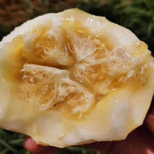 山东小蜜蜂甜瓜/黄金蜜瓜【香甜多汁】 商品图3