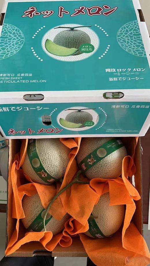 牛三网纹瓜   放熟吃  香甜软绵 冰激凌口感 商品图1