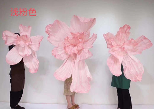 美塑花（运费自理） 商品图7