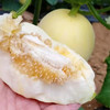 山东小蜜蜂甜瓜/黄金蜜瓜【香甜多汁】 商品缩略图4