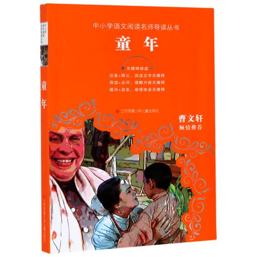 童年(无障碍阅读)/中小学语文阅读名师导读丛书 商品图0