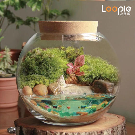 奇妙的微景观 商品图0