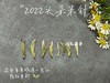 时隔2年，2022头采米针重新回归，毫香鲜爽，花香清鲜（50克罐装） 商品缩略图5