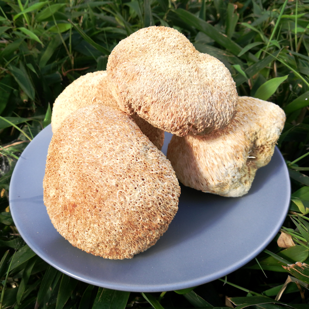 东北特产猴头菇200g