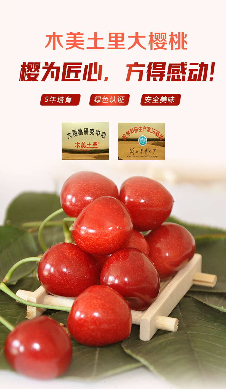山海关砂蜜豆樱桃3斤5斤顺丰邮政