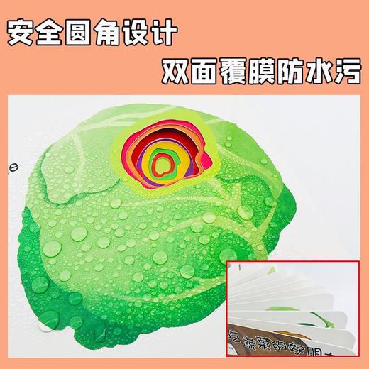(仓发) 小笨熊 幼儿园早教翻翻书洞洞书 爱吃蔬菜的好朋友 绘本 精装3d立体书翻翻书 婴幼儿情景体验认知绘本揭秘宝宝益智撕不烂 认知早教 游戏书 睡前/9787559353030 商品图5
