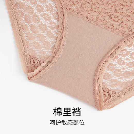 HSIA遐性感花边条平角裤女夏轻薄透气斑纹蕾丝纯棉裆底两条装内裤 商品图4
