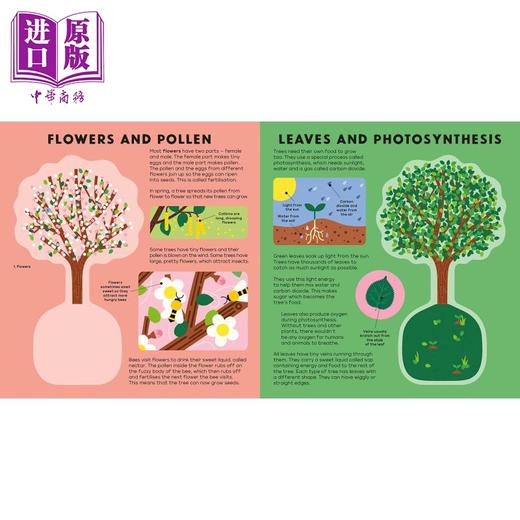 【中商原版】The Tree Book 树之书 英文原版 进口原版 5岁及以上 儿童纸板书 树木知识绘本 Hannah Alice 商品图2