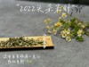 时隔2年，2022头采米针重新回归，毫香鲜爽，花香清鲜（一斤收藏装） 商品缩略图4