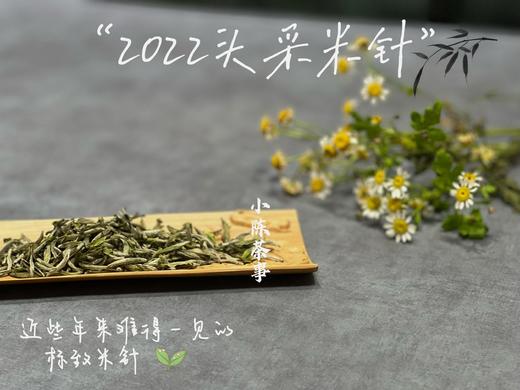 时隔2年，2022头采米针重新回归，毫香鲜爽，花香清鲜（一斤收藏装） 商品图4