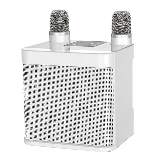 爆款YS-203家庭电视手机KTV套装K歌音响无线蓝牙双麦克风音箱话筒一体 商品图4