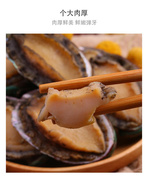 YP壮元海鲍鱼套组 500g/袋*3袋 商品图1