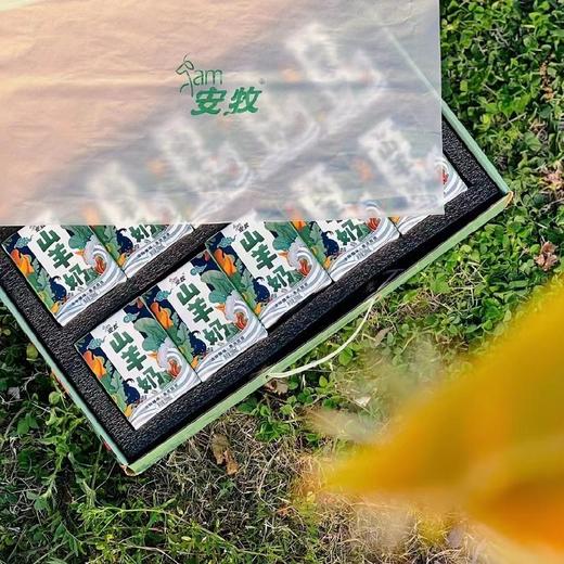 安牧山羊奶 两箱（200ml/盒×10/箱) 商品图11