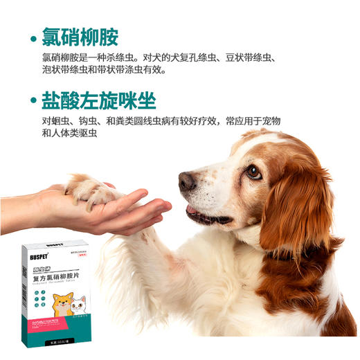 【6月19号秒杀活动】巴士宠新品 肠虫清内驱打虫 12片盒装 去绦虫蛔虫线虫等 广谱驱虫 见效快  犬猫通用 商品图1