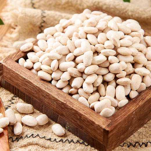 屈姑白芸豆450G袋装 商品图2