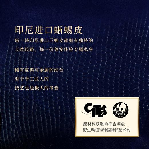 【UPKO黑标系列】流苏鞭SM皮鞭 商品图4