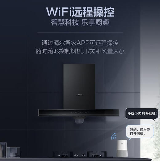 海尔（Haier）烟机CXW-258-E900T18U1 商品图10
