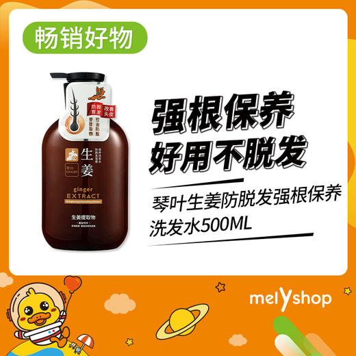 琴叶生姜防脱发强根保养洗发水500ml（231125） 商品图0