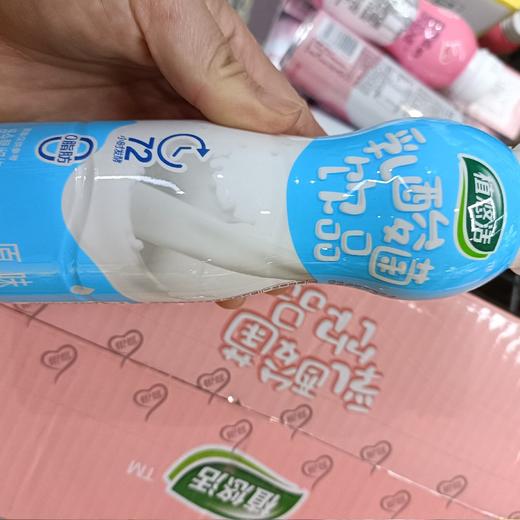 银鹭乳酸菌饮品原味300毫升 商品图0