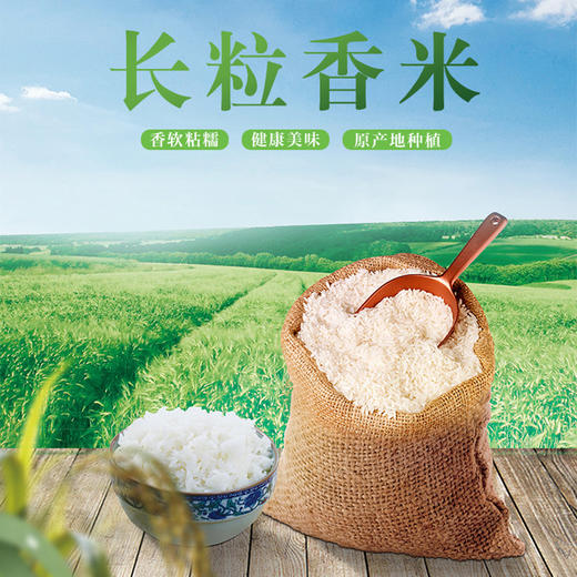 【仅供集采】义箪稻粱东北黑龙江大米5kg长粒香大米10斤装大米 商品图2
