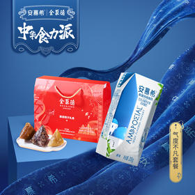 全聚德聚荟粽子礼盒+安慕希原味205g*12盒/箱+食力派同款菜篮子（送完为止）