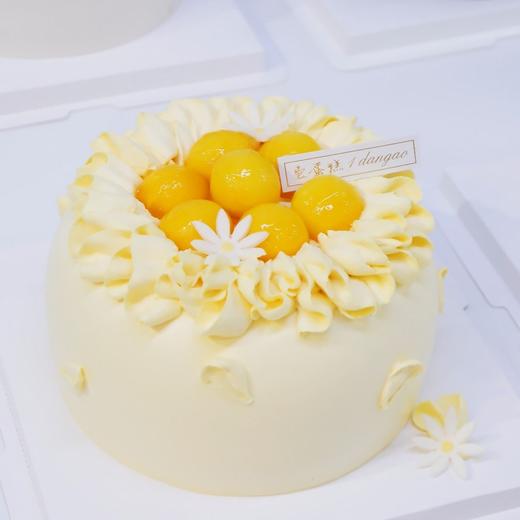 芒果百香果 /cake 商品图0