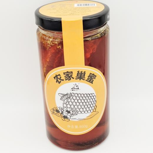 云南红河屏边一座村野生巢蜜850g 商品图0