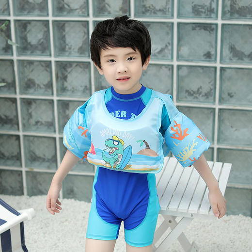 抖音爆款 专业儿童救生衣新款浮力水袖手臂圈婴幼儿救生衣浮力背心 商品图7