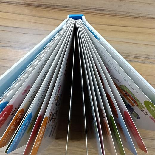 (仓发) 有趣的数学大书/精装大开本全彩手绘幼儿数学启蒙认知情景认知益智游戏纸板书/民主与建设出版社/李继勇/9787513920308 商品图5