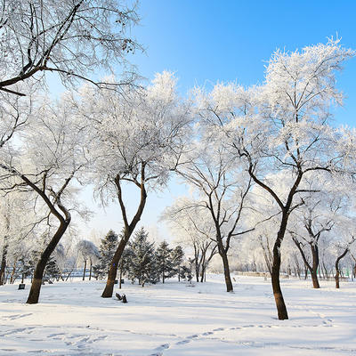 北大湖 CLUB MED 滑雪度假村东北滑雪一价全包 商品图2