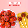 山楂六物膏棒棒糖 商品缩略图2