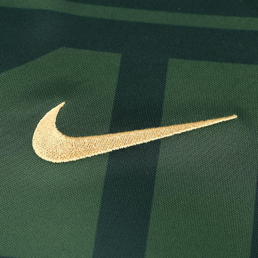 NIKE/耐克 AS BJGA M NK DF STAD JSY SS HM 22赛季北京国安主场球衣球迷版DB5746377 商品图2