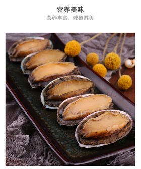 YP壮元海鲍鱼套组 500g/袋*3袋